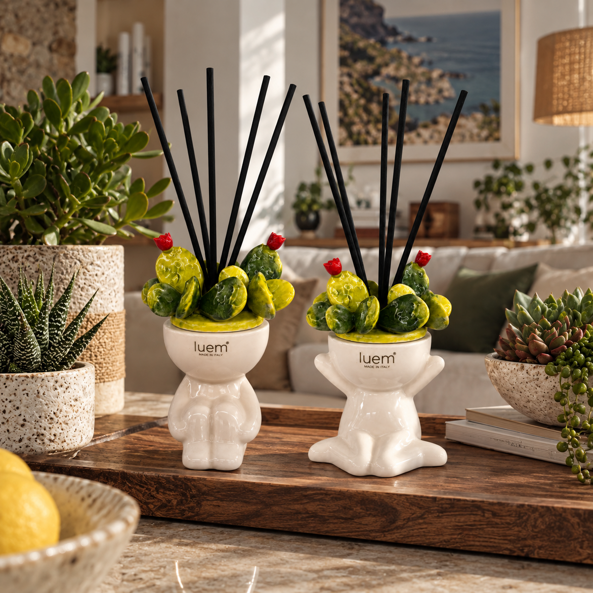 Naturini dei cactus ambientati